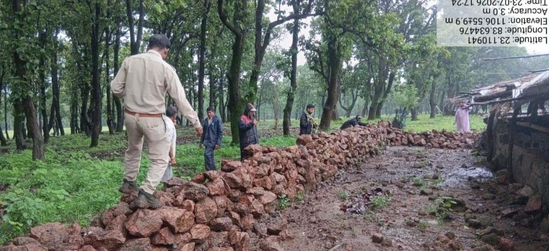 रायपुर : वन विभाग की बड़ी कार्रवाई : अवैध अतिक्रमण हटाकर वनभूमि कराई मुक्त, तत्काल शुरू किया गया पौधरोपण