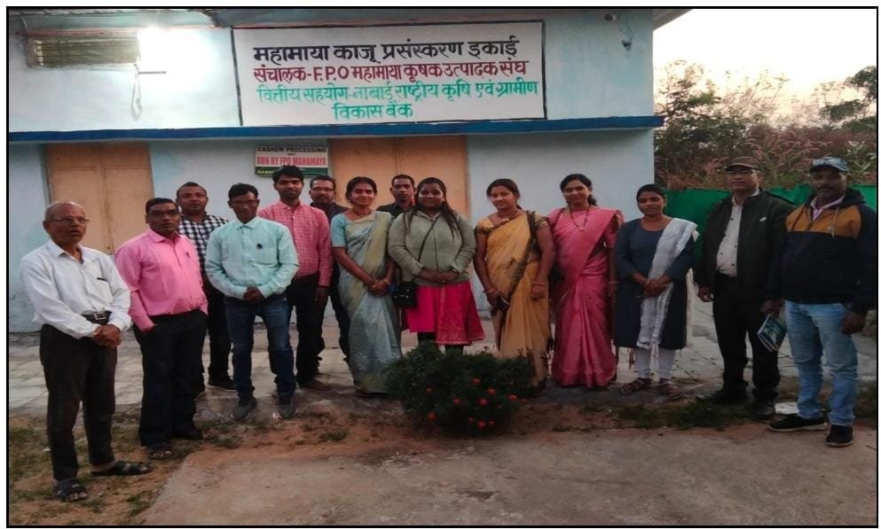 KORBA : महामाया एफपीओ बना किसानों की समृद्धि का मजबूत आधार, 7 लाख के कारोबार से 1.96 करोड़ तक पहुंची सफलता की उड़ान