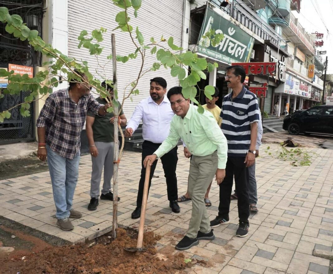 KORBA : ’’एक पेड़ माॅ के नाम’’ : निहारिका टाकिज से घंटाघर मुख्य मार्ग पर किया गया वृक्षारोपण