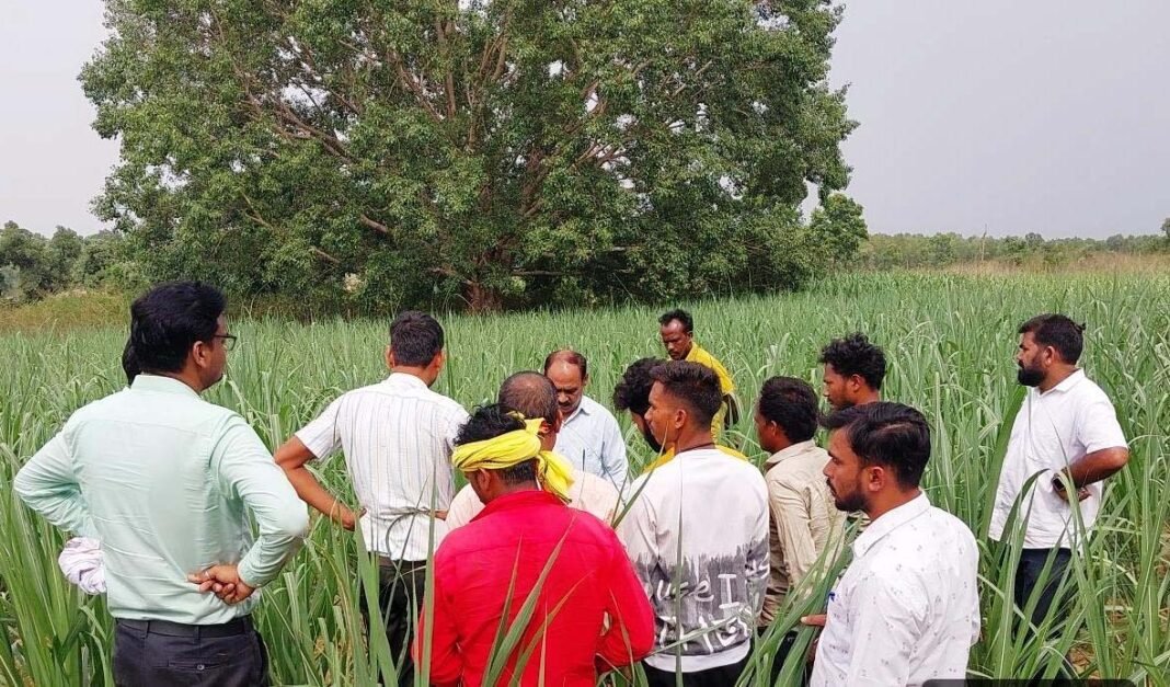 रायपुर : उन्नत तकनीक से गन्ना खेती को मिलेगा नया आयाम
