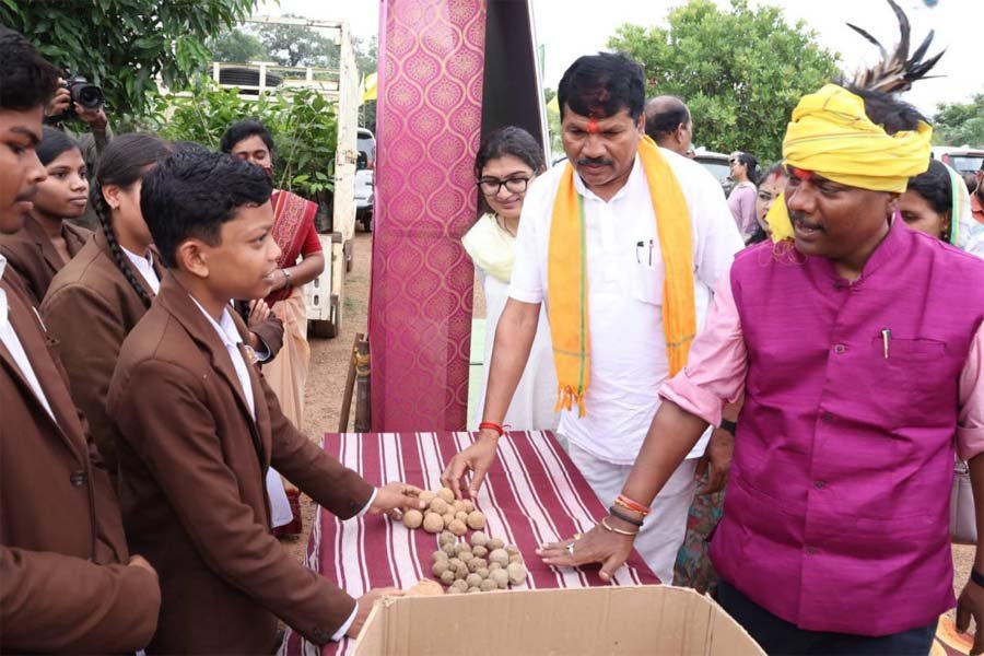 रायपुर : नारायणपुर में वन महोत्सव का भव्य आयोजन