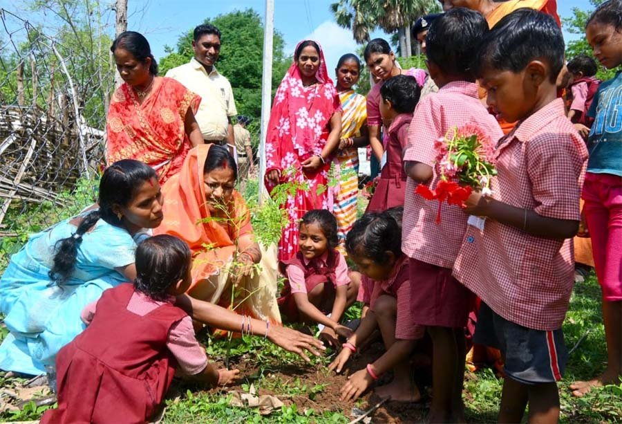 रायपुर : हर-घर मुनगा, घर-घर सुपोषण : कुपोषण मुक्त छत्तीसगढ़ के लिए जनआंदोलन बन रहा मुनगा पौधारोपण अभियान