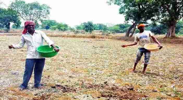 रायपुर : खण्ड एवं अल्प वर्षा की संभावनाओं के बीच किसानों से सरकार की अपील