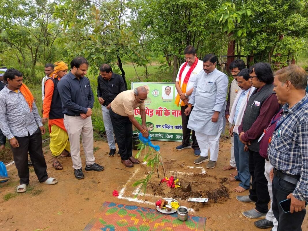 ​रायपुर : जैव विविधता पार्क कांकेर के माकड़ी में औषधिय पौधों का रोपण- पारंपरिक चिकित्सा को बढ़ावा देने की नई पहल