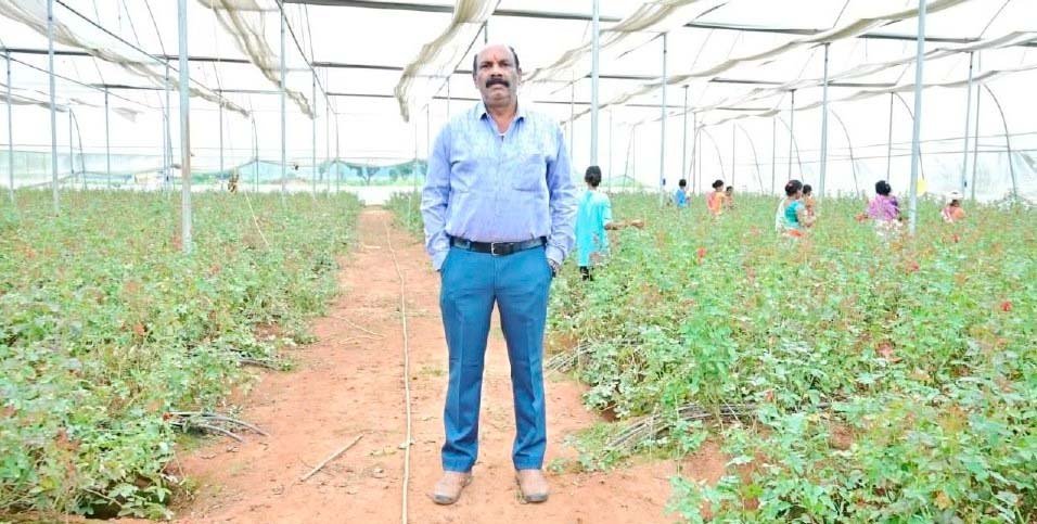 रायपुर : गुलाब की खुशबू से महकी किसान विकास कुमार की किस्मत