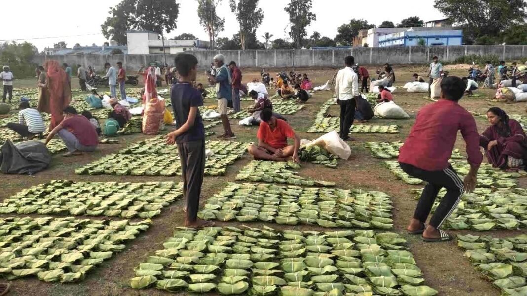 रायपुर : हरा सोना बना ग्रामीण परिवारों की आर्थिक ताकत