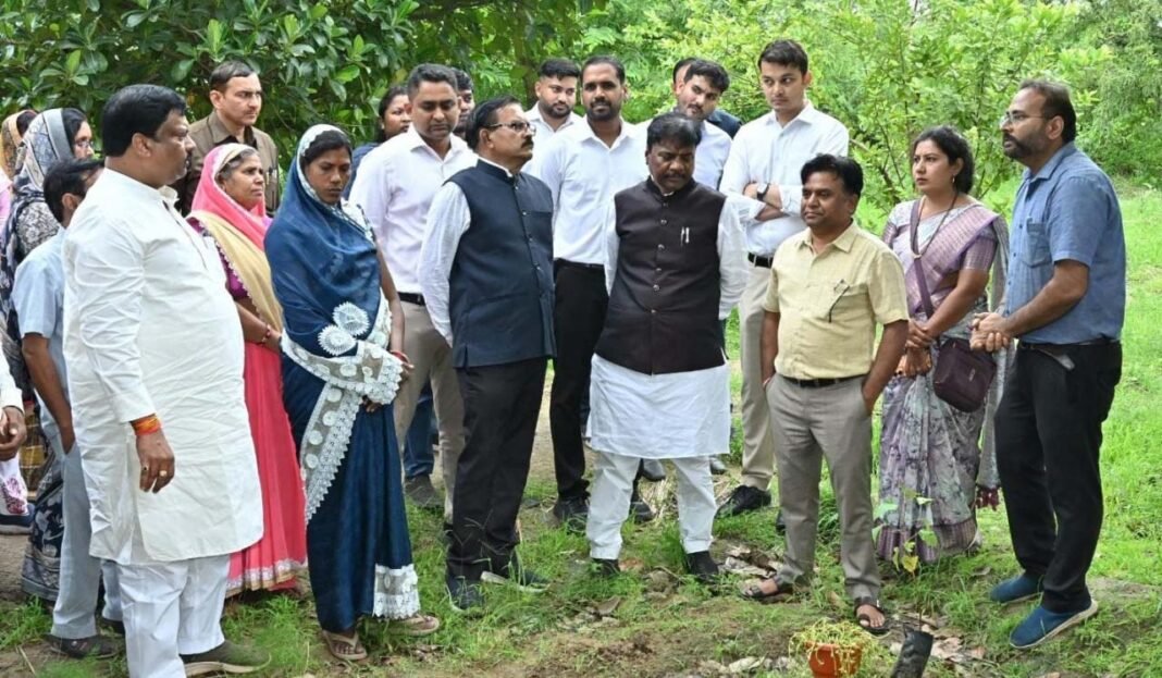 ​रायपुर : धमतरी जिले में 200 एकड़ से बढ़ाकर 600 एकड़ तक औषधीय खेती के विस्तार का लक्ष्य
