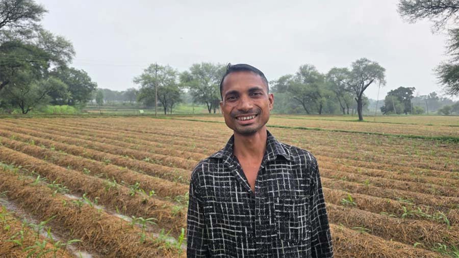 रायपुर : धान की जगह अदरक की खेती से किसानों की बढ़ रही आय, फसल विविधीकरण से मिल रही नई आर्थिक मजबूती