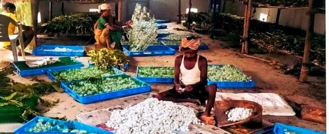 रायपुर : नारायणपुर में रेशम से बुना जा रहा आत्मनिर्भरता का ताना-बाना