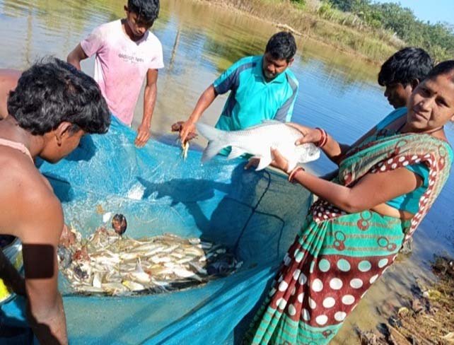रायपुर : अनुदान से बदली तकदीर : मछलीपालन से आत्मनिर्भर बनीं मदनूबाई, सालाना 2 लाख रुपये से अधिक की आय