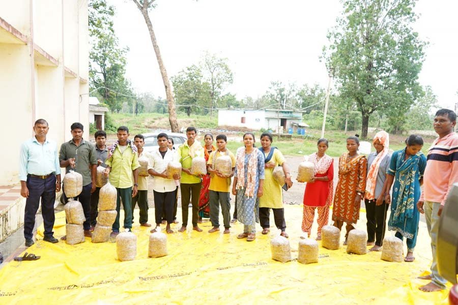 रायपुर : सुकमा में मशरूम उत्पादन का प्रशिक्षण बना आत्मनिर्भरता की नई राह