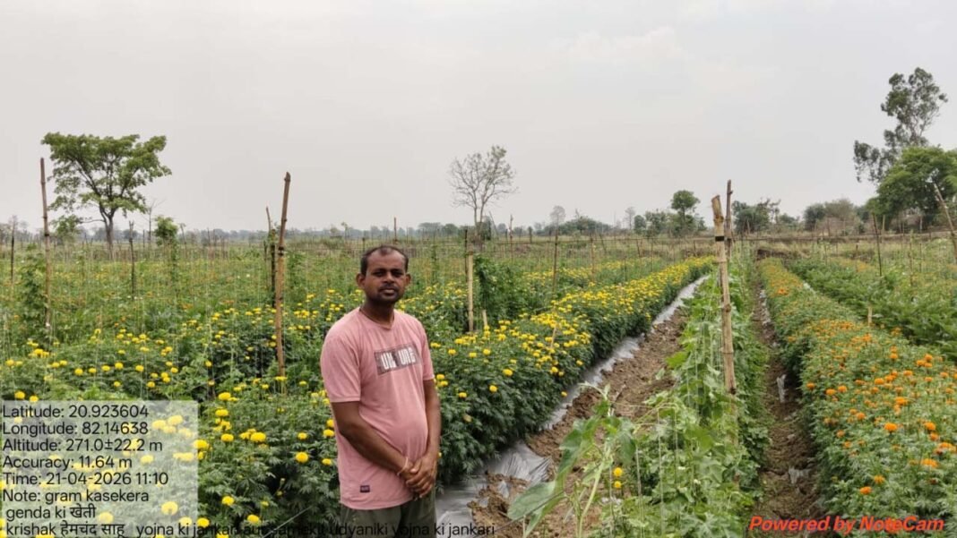 रायपुर : गेंदा फूल की खेती से किसान हेमचंद साहू की बदली तस्वीर