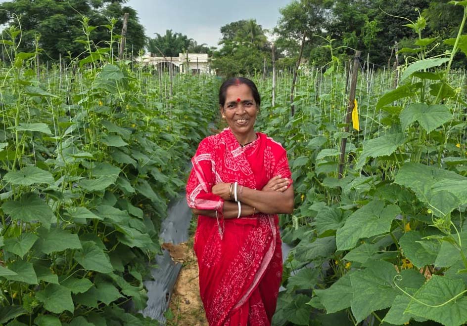 रायपुर : बिहान से बहनों को मिला आर्थिक संबल, खीरे की खेती से सुभद्रा मंडल ने लिखी आत्मनिर्भरता की नई कहानी