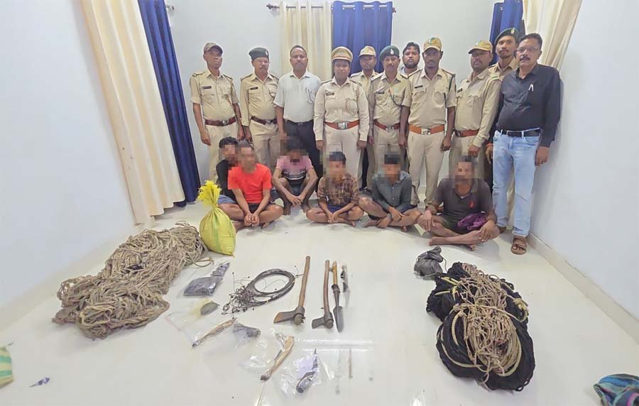 रायपुर : वन मंत्री केदार कश्यप के निर्देश पर इन्द्रावती टाइगर रिजर्व में वन्यजीव शिकार पर बड़ी कार्रवाई, 6 आरोपी गिरफ्तार