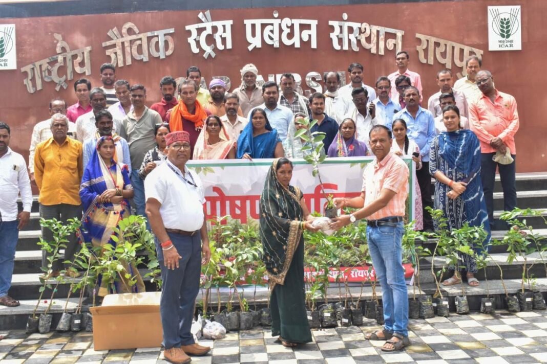 रायपुर : आईसीएआर-एनआईबीएसएम द्वारा ‘पोषण वाटिका’ पर प्रशिक्षण कार्यक्रम आयोजित