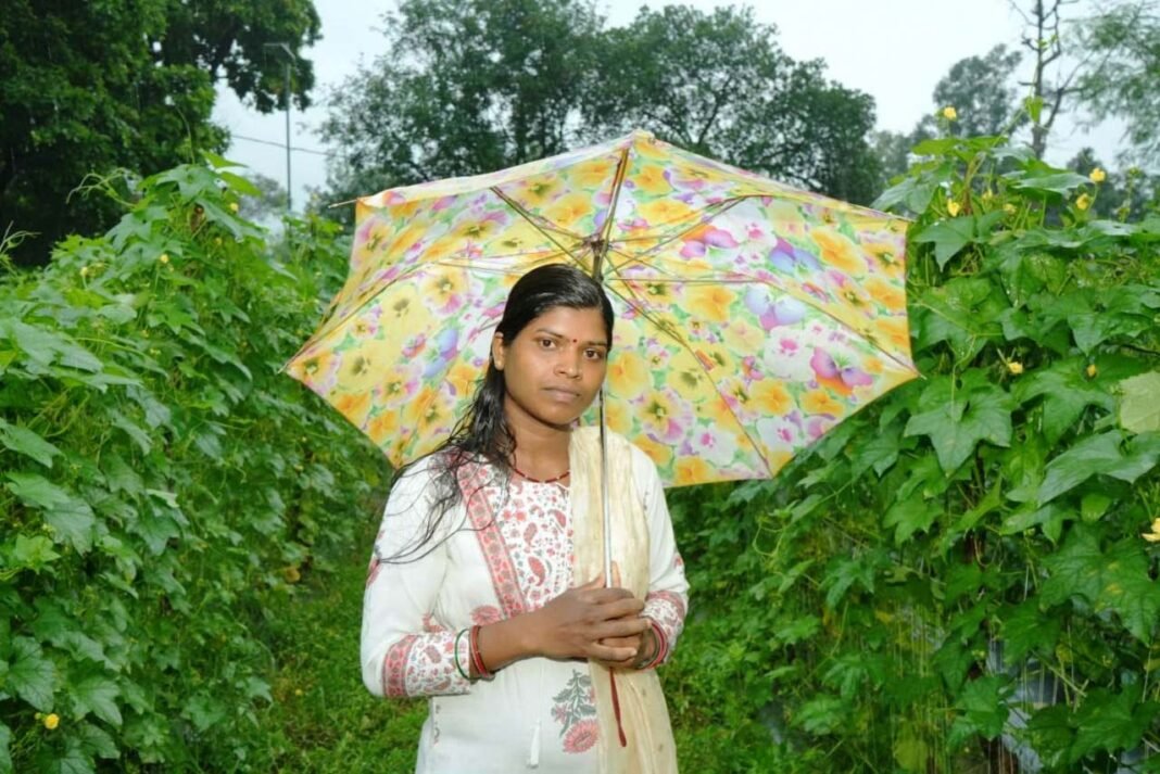 रायपुर : बाड़ी से निकली समृद्धि की राह, सपनों को मिली नई उड़ान