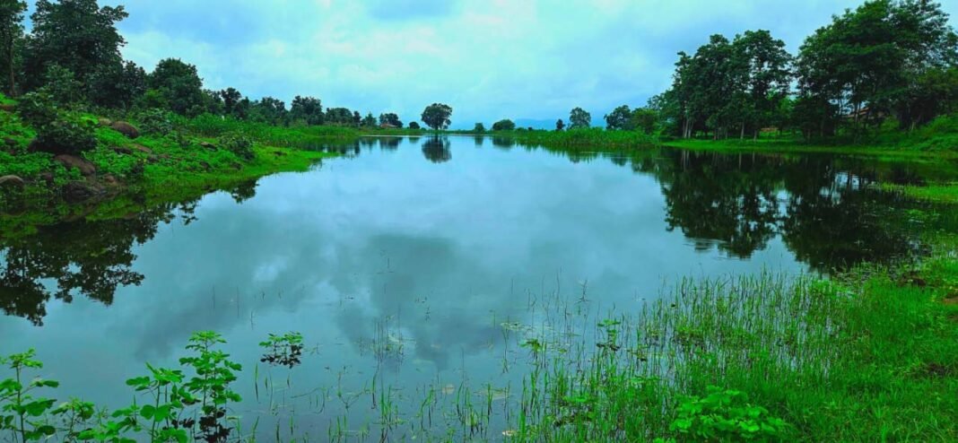 रायपुर : जहाँ कभी पानी की थी चिंता, आज हर मौसम में जीवन का आधार बना जल स्रोत