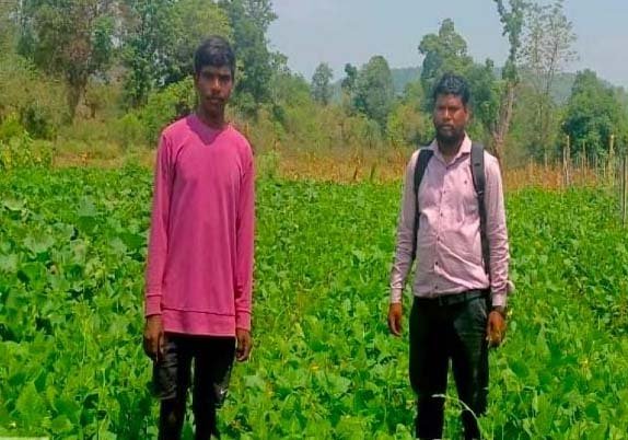 ​रायपुर : ड्रिप सिंचाई ने बदली हरीशचन्द्र की तकदीर