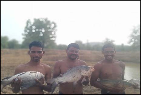 रायपुर : तालाब में पाली मछलियां, मुनाफे से संवारी जिंदगीकृशंकर कुडि़यम बने आत्मनिर्भरता की मिसाल
