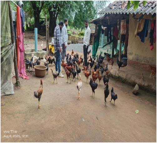 रायपुर : बचत से कारोबार तक, मुर्गी पालन से मंजू मड़े ने गढ़ी आत्मनिर्भरता की कहानी