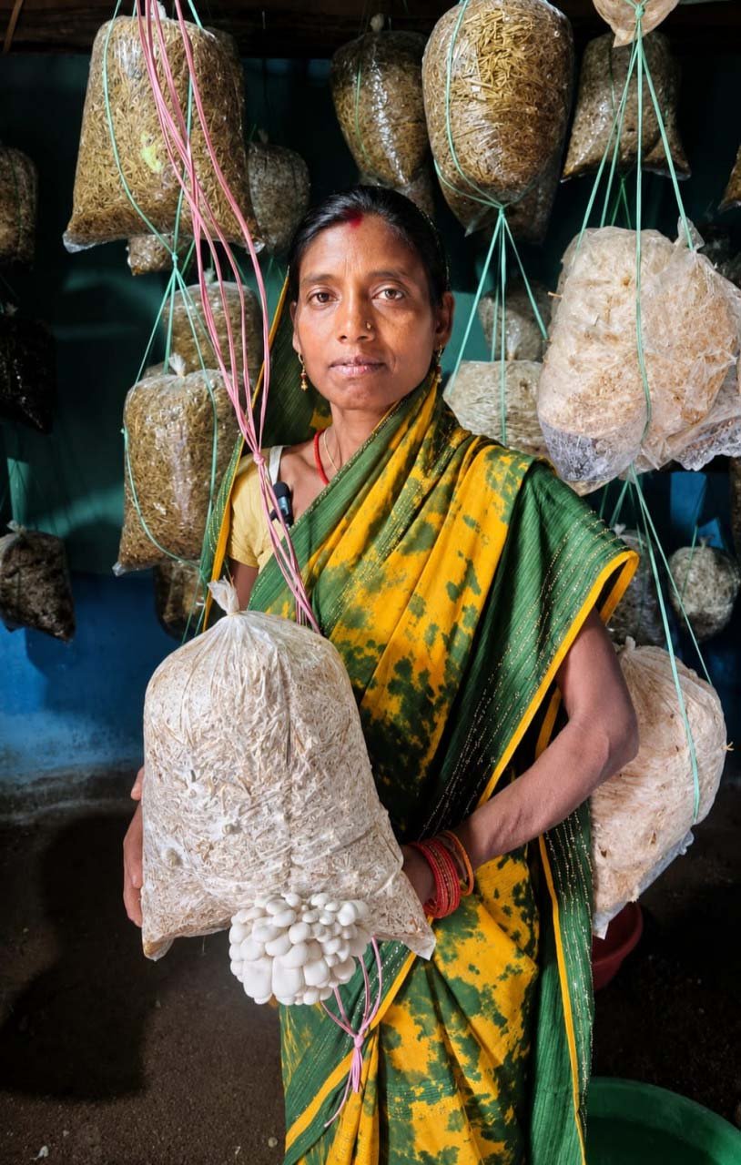 रायपुर : विष्णु के सुशासन में गांव की बेटियां बन रहीं आत्मनिर्भर, बबली यादव ने फोटो कॉपी, मशरूम और महुआ व्यवसाय से बढ़ाई आय