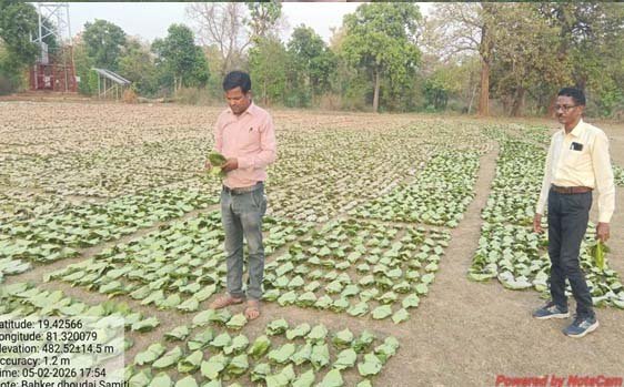 रायपुर : तेन्दूपत्ता संग्रहण की नई पहल से अबुझमाड़ के 22 गांवों को मिला लाभ