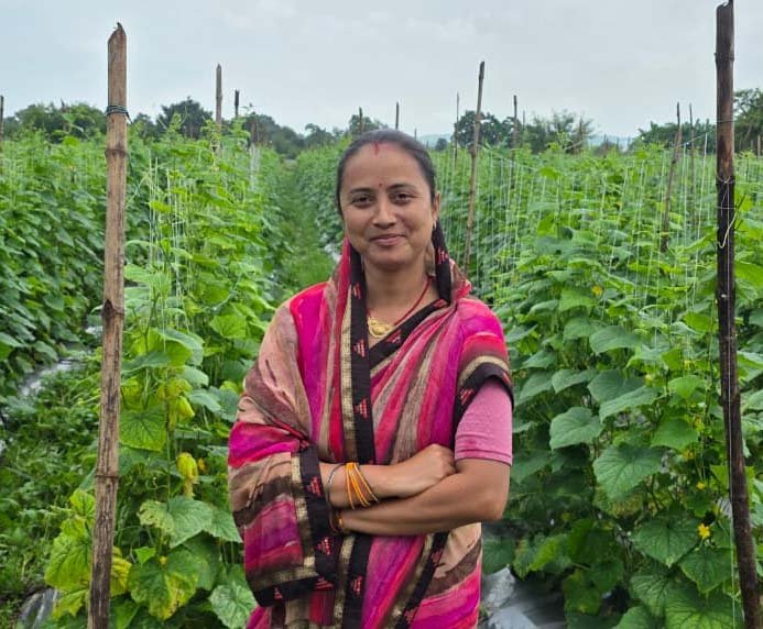 रायपुर : खेतों में खीरे की फसल से खिली खुशियां, बिहान से कल्पना बनीं ‘लखपति दीदी’