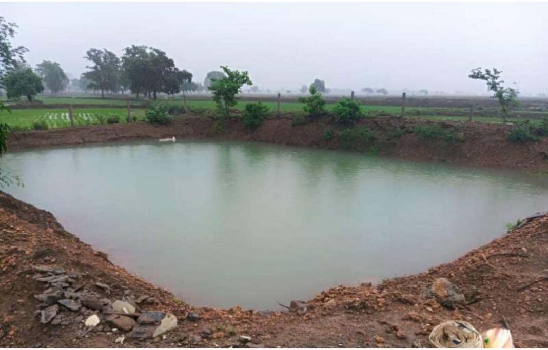 रायपुर : मोर गांव-मोर पानी अभियान से ग्रामीण आजीविका को मिली नई उड़ान
