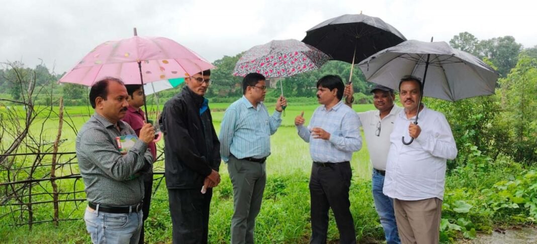 रायपुर : बारिश के बीच खेतों में पहुंचा कृषि अमला, जवाफुल धान की जैविक खेती और सन बीज उत्पादन पर जोर