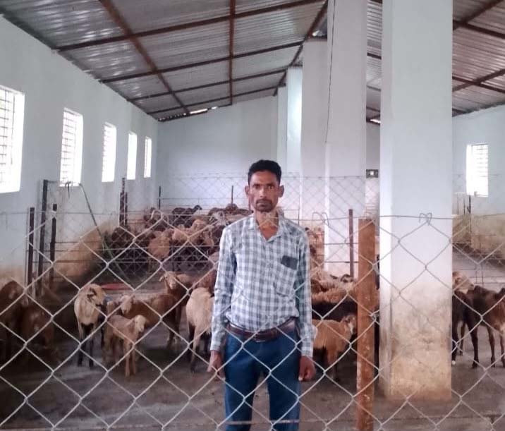 रायपुर : भेड़ पालन से आत्मनिर्भर बने बस्तर के सुरेन्द्र, ग्रामीण उद्यमिता की बने मिसाल