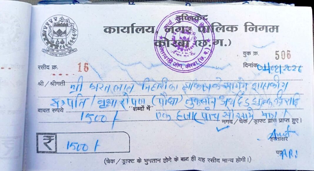 KORBA : किये गये वृक्षारोपण व रोपित पौधे को नुकसान पहुंचाने पर लगाया गया अर्थदण्ड