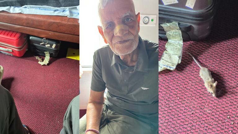 ऊना-इंदौर एक्सप्रेस के फर्स्ट AC कोच में चूहे का आतंक, सोते समय रिटायर्ड अफसर की नाक में काटा; खून आने पर रेबीज इंजेक्शन लगवाना पड़ा