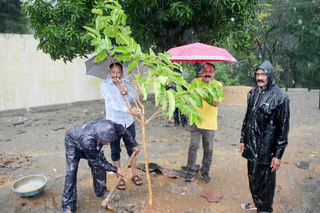 KORBA : ’’एक पेड़ मॉ के नाम’’ : अप्पू गार्डन मुख्य मार्ग में किया गया वृक्षारोपण