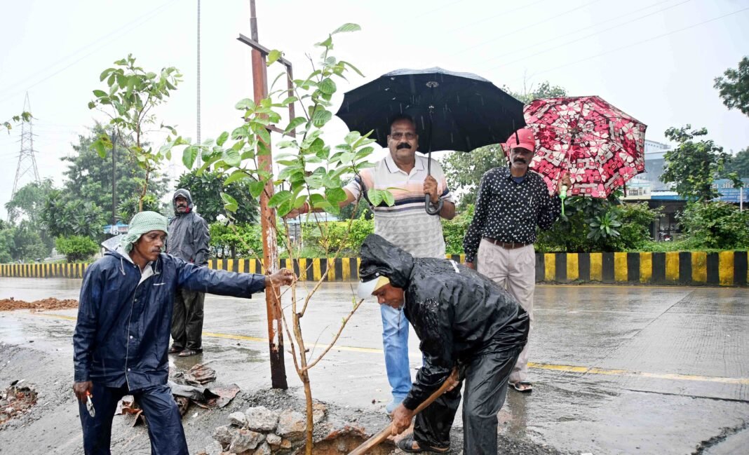 KORBA : ’’एक पेड़ मॉ के नाम’’ : ढ़ोढीपारा उपस्वास्थ्य केन्द्र के समीप मुख्य मार्ग में किया गया वृक्षारोपण