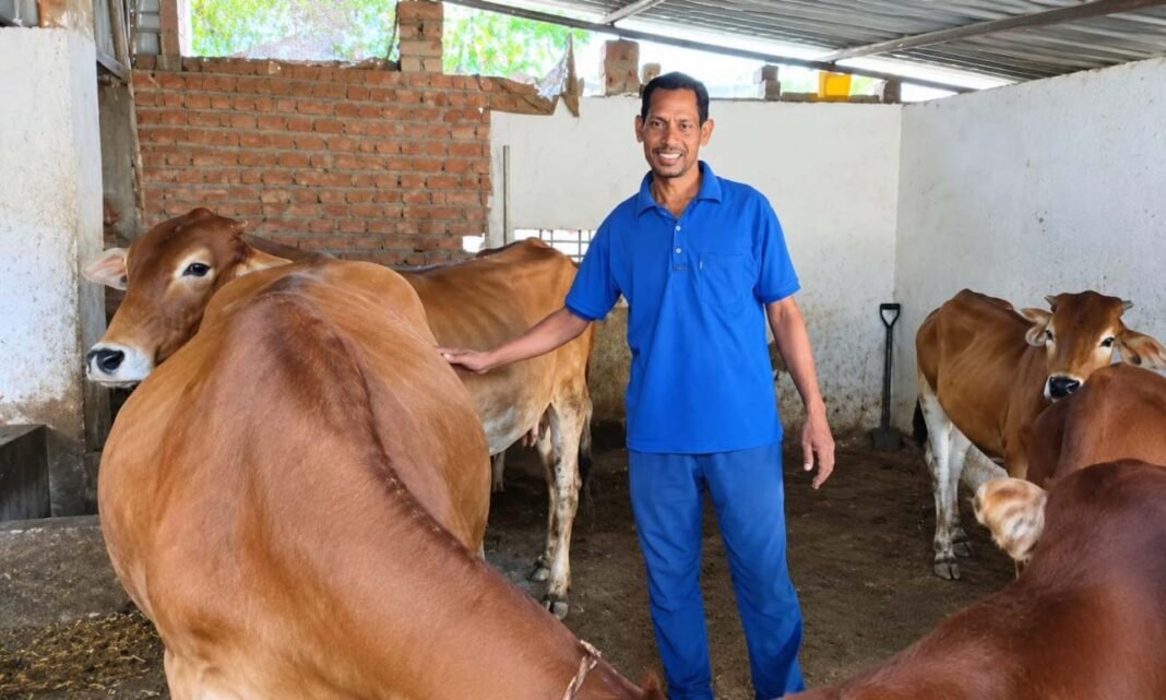 रायपुर : नस्ल सुधार से बढ़ा दुग्ध उत्पादन, मजबूत हुई दयासागर की आजीविका