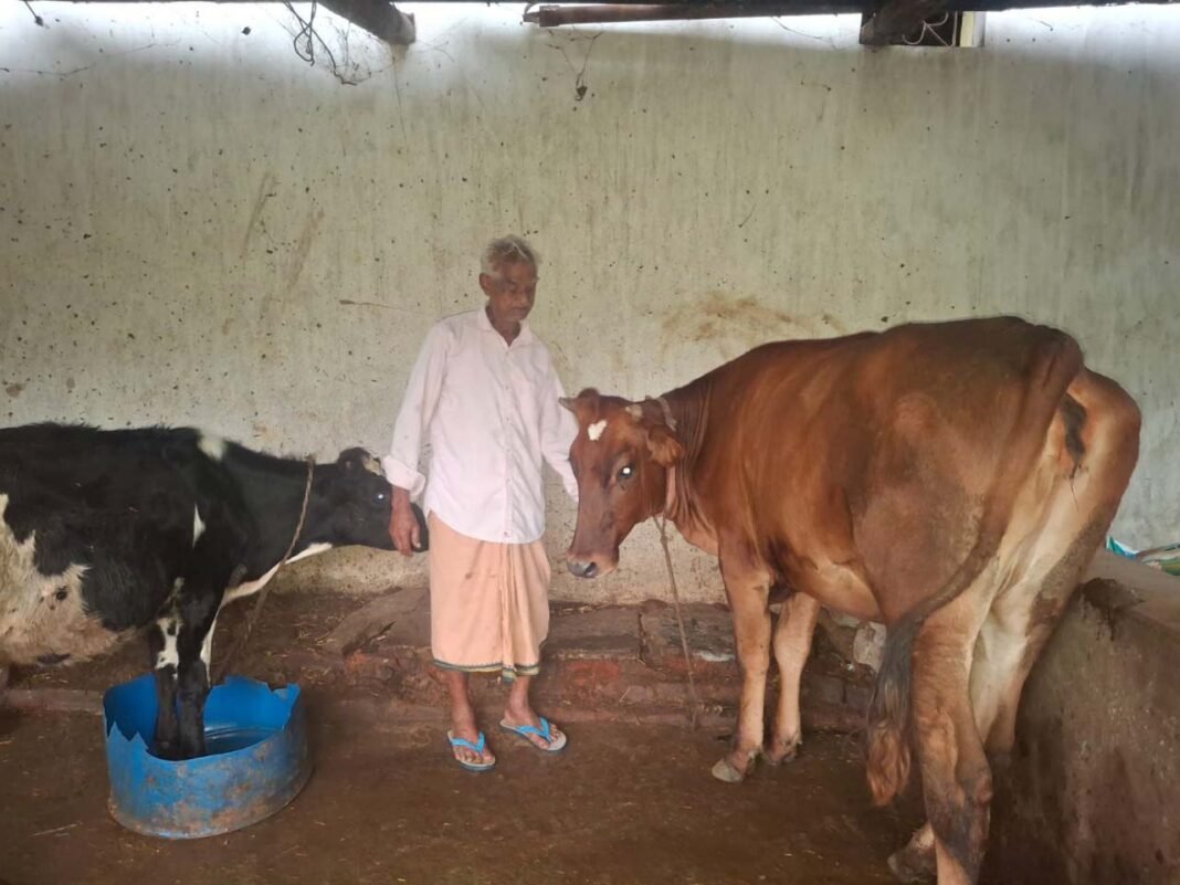 रायपुर : पीएम किसान सम्मान निधि की बचत से खरीदी पहली गाय, आज 10 गायों के साथ आत्मनिर्भर बने 75 वर्षीय परशुराम गुप्ता