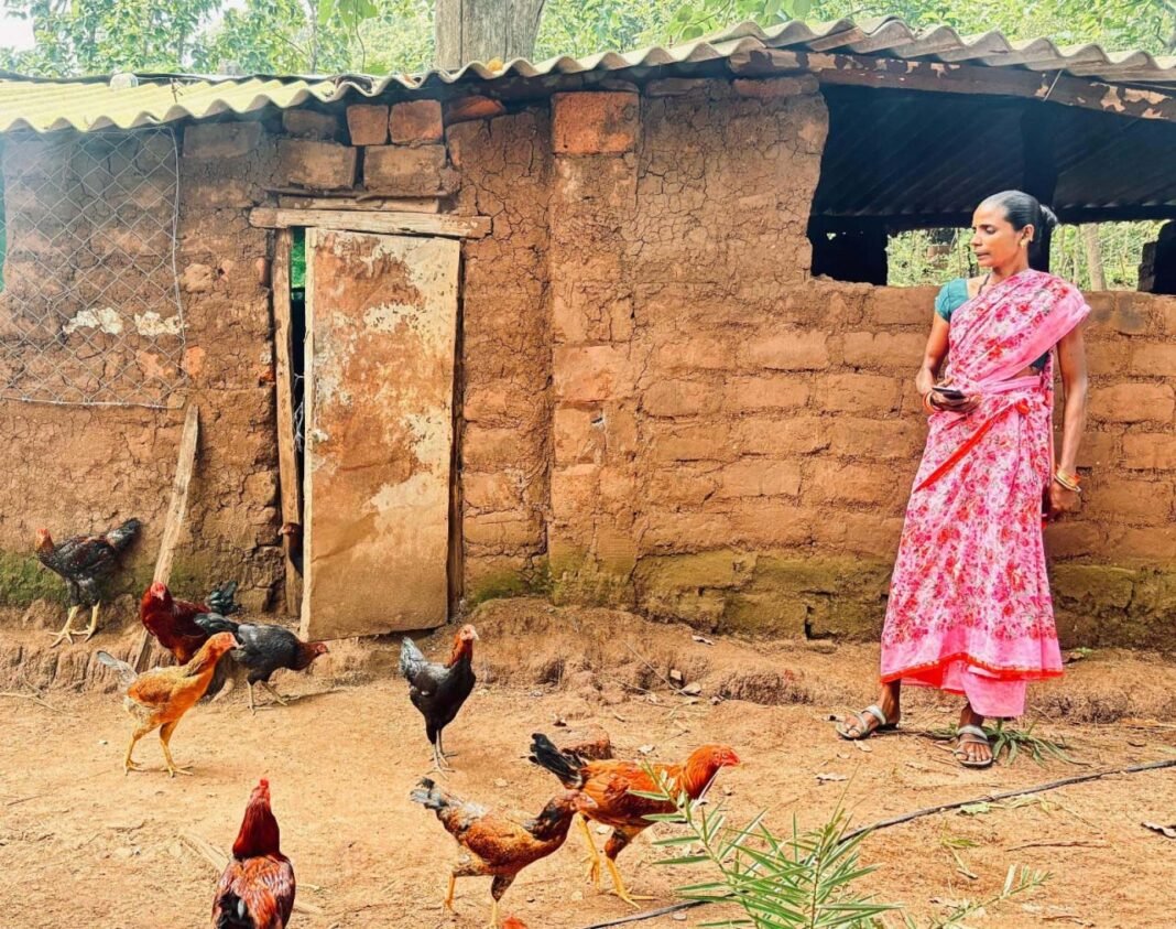 रायपुर : बिहान योजना ने दिया आजीविका का सहारा