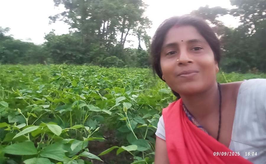 रायपुर : मिट्टी से समृद्धि की ओर : ‘बिहान’ से मिली उड़ान, हेमलता पटेल ने लिखी महिला सशक्तिकरण की नई इबारत