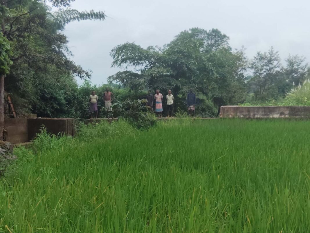रायपुर : सेवा की कहानी : स्टॉपडेम से खुशहाल हुए आदिवासी परिवार