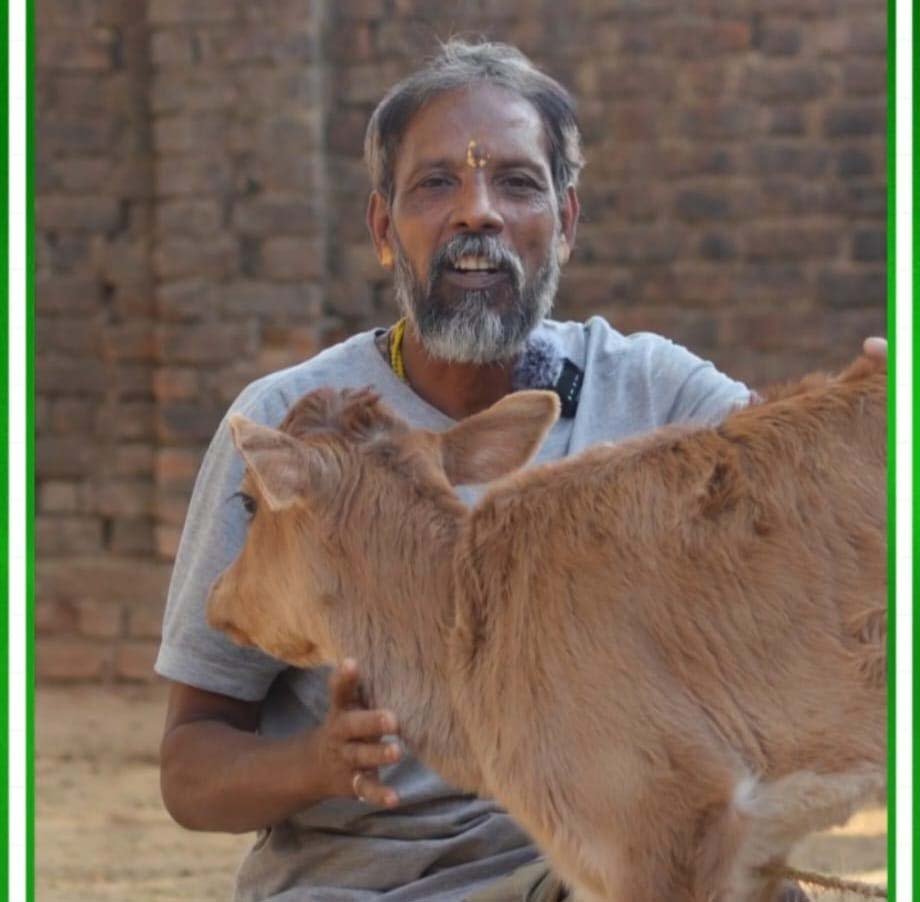 रायपुर : गौपालन बना मधुसुदन भगत की मजबूत आय का साधन