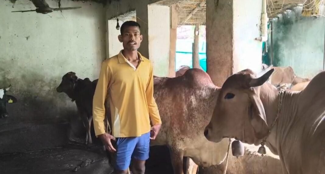 KORBA : सेवा की कहानी : दो गायों से शुरू हुई उम्मीद, पांच गायों ने संवारी मिनेश की जिंदगी