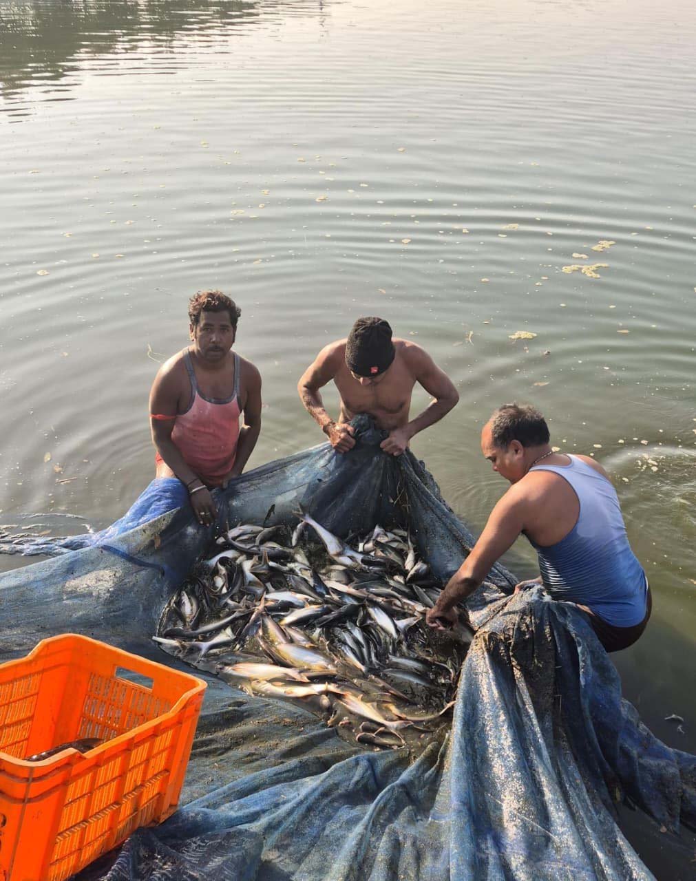 रायपुर : सेवा- संकल्प- अभियान : मत्स्य पालन से संवरी गांधीराम की ज़िंदगी