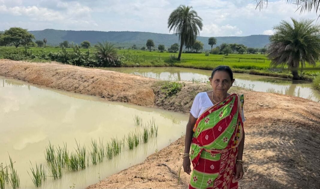 रायपुर : सेवा की कहानी : आजीविका डबरी से बढ़ी आमदनी की राह, माधुरी पेगड़ के परिवार को मिला अतिरिक्त आय का जरिया