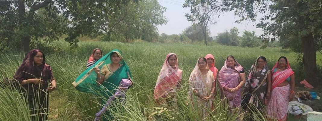 रायपुर : नवाचार से स्वावलंबन : परखंदा की महिलाओं ने खस की खुशबू से रची आर्थिक आजादी की नई इबारत