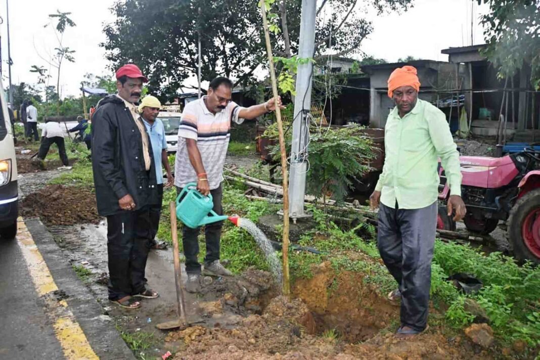 KORBA : ’’एक पेड़ मॉ के नाम’’ : कोहड़िया मुख्य मार्ग में किया गया वृक्षारोपण