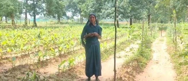 रायपुर : समेकित खेती से संवरी केकराखोली की तस्वीर