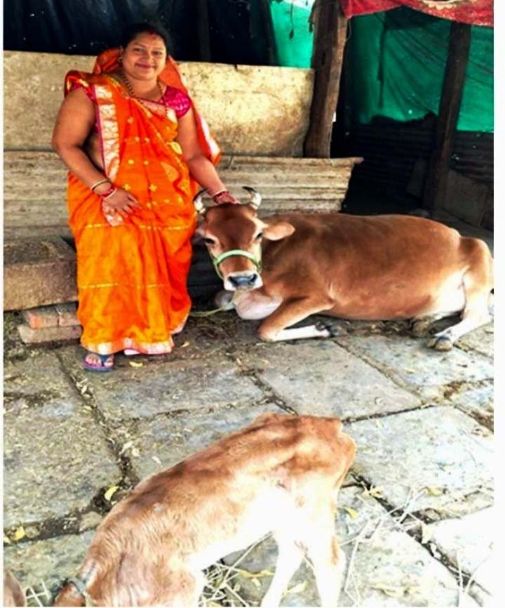 रायपुर : सेवा संकल्प अभियान : सेवा की कहानी : महतारी वंदन की राशि बनी स्वरोजगार का आधार, सरिता ने बचत कर खरीदी गाय और शुरू किया दुग्ध व्यवसाय