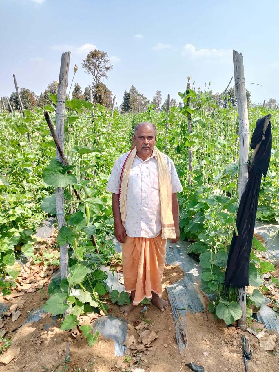 रायपुर : सेवा की कहानी : लौकी की खेती से वासुदेव प्रधान की बढ़ी आमदनी, एक हेक्टेयर में कमाए 2.07 लाख रुपये