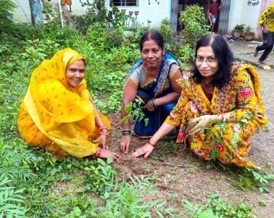 रायपुर : आंगन मिलन सेवा में गूंजा पोषण और सेवा का संदेश, चिरईपानी में रोपे गए मुनगा के पौधे