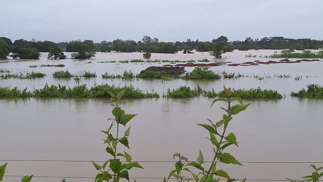 रायपुर : बस्तर में बारिश थमी, लेकिन नदियां उफान पर; प्रशासन अलर्ट